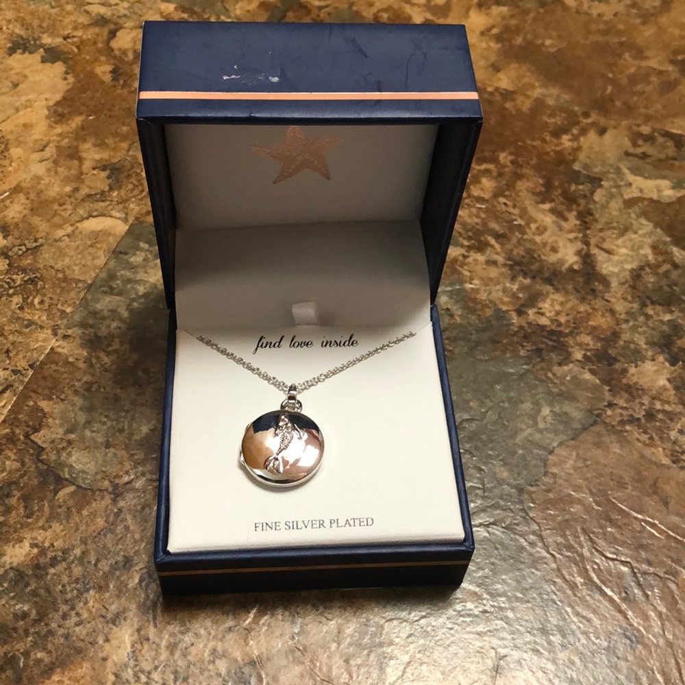 New in the box Mermaid Locket/ Necklace